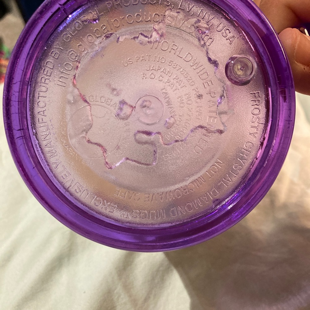 Disneyland frosted mug